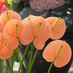 100pieces Flower Bonsai Anthurium Flores Balcony Potted Plants Plantas Diy Home Garden Seeds - 3