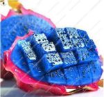 50pcs Red Heart Pitaya Bonsai Delicious Fruit Tree Dragon Plants Home Graden Drawf Winter Decoration Seeds - 2