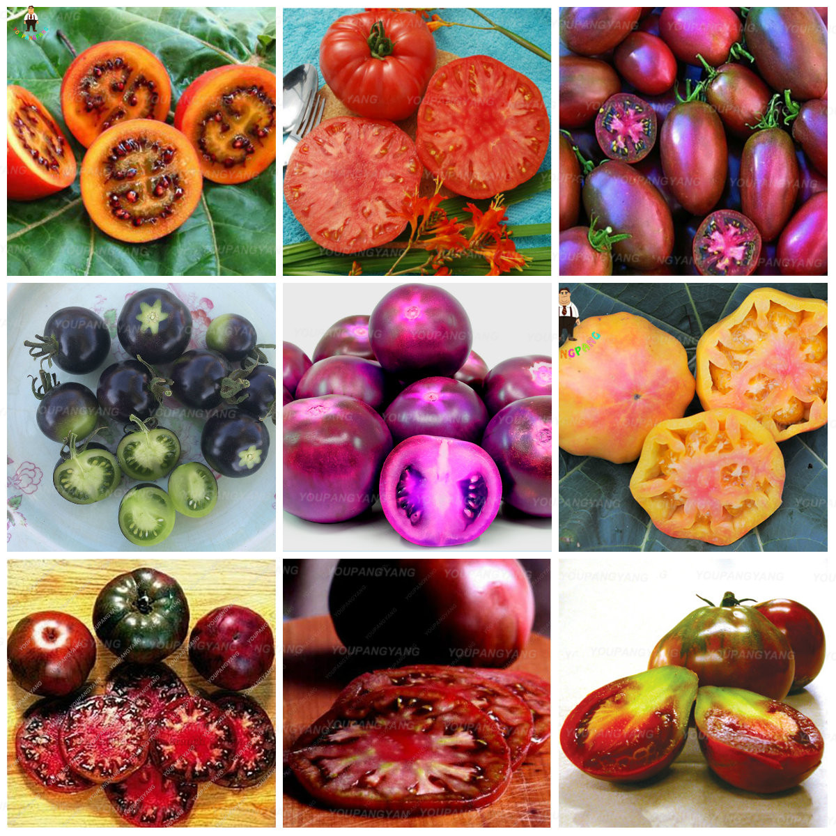 200pcs Black And Purple Cherry Tomato Seeds Great For Indoor And Outdoor Cultivation High Yielding And Easy To Grow - 8