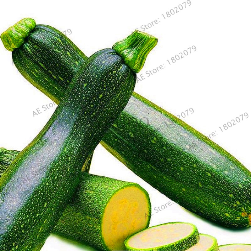 20pcs Organic Heirloom Squash Seeds Long Zucchini Vegetable Ideal For Indooroutdoor Green Spaces - 1