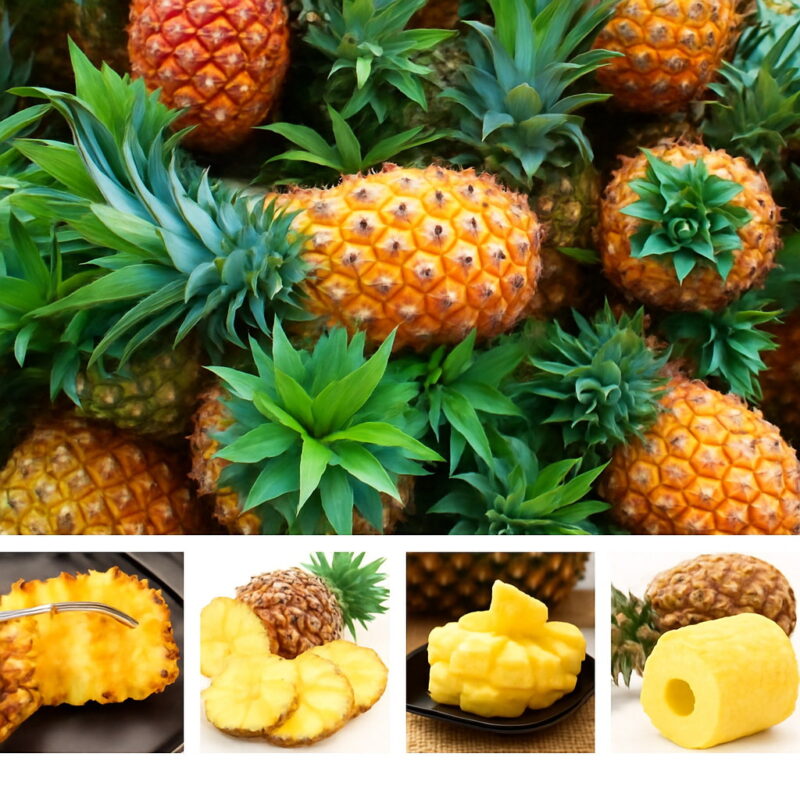 Hot 103 Pcs Pack Fruits And Vegetables Bonsai Pineapple Fruit Corn Garden Yellow Taste Sweet Seeds