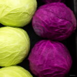 100 Pieces Lot Best-selling Early Red Heirloom Cabbage Plants Non Gmo Vegetable Bonsai Seeds