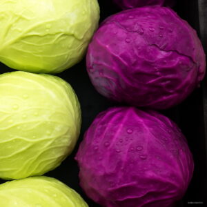 100 Pieces Lot Best-selling Early Red Heirloom Cabbage Plants Non Gmo Vegetable Bonsai Seeds