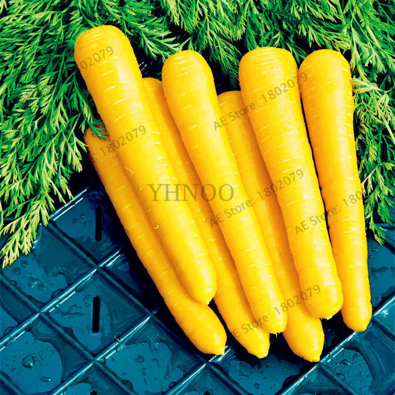 100pcs Nutrientrich Organic Carrot Vegetable Seeds For Healthy Cuisine And Farming - 5