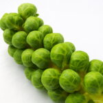 100 Pcs Pack Brussel Sprouts Vegetables Bonsai Garden Heirloom Non-gmo Plants Home Diy Decor Seeds - 3