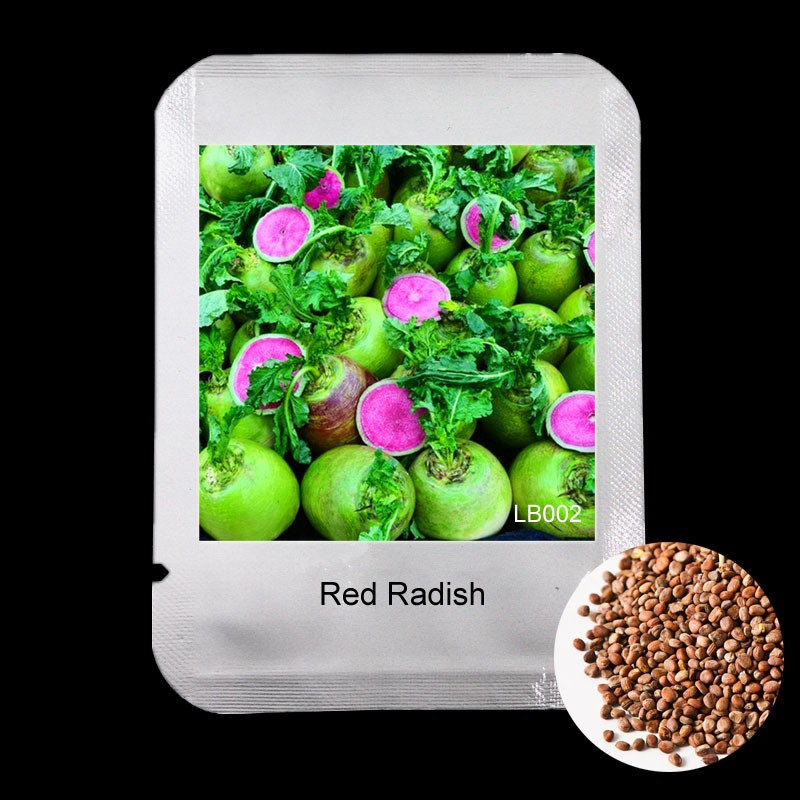 Xinlimei Red Radish 100pcs Pack Exotic Seeds Ideal For Outdoor Farming And Greenhouse Cultivation - 4