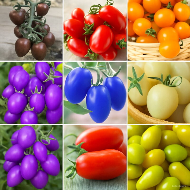 Time-limit 9 Kinds Of Cherry Tomatoes Flores Fruits Plantas Vegetables Potted Bonsai Plant Garden 100 Pcs Pack Seeds