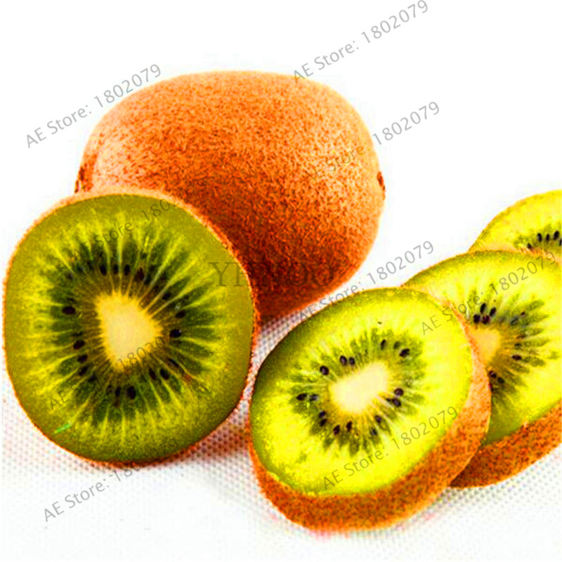 100pcs Mini Kiwi Seeds Thailand Floresling Flower Delicious Fruit Vegetable Seedlings For Landscaping - 4