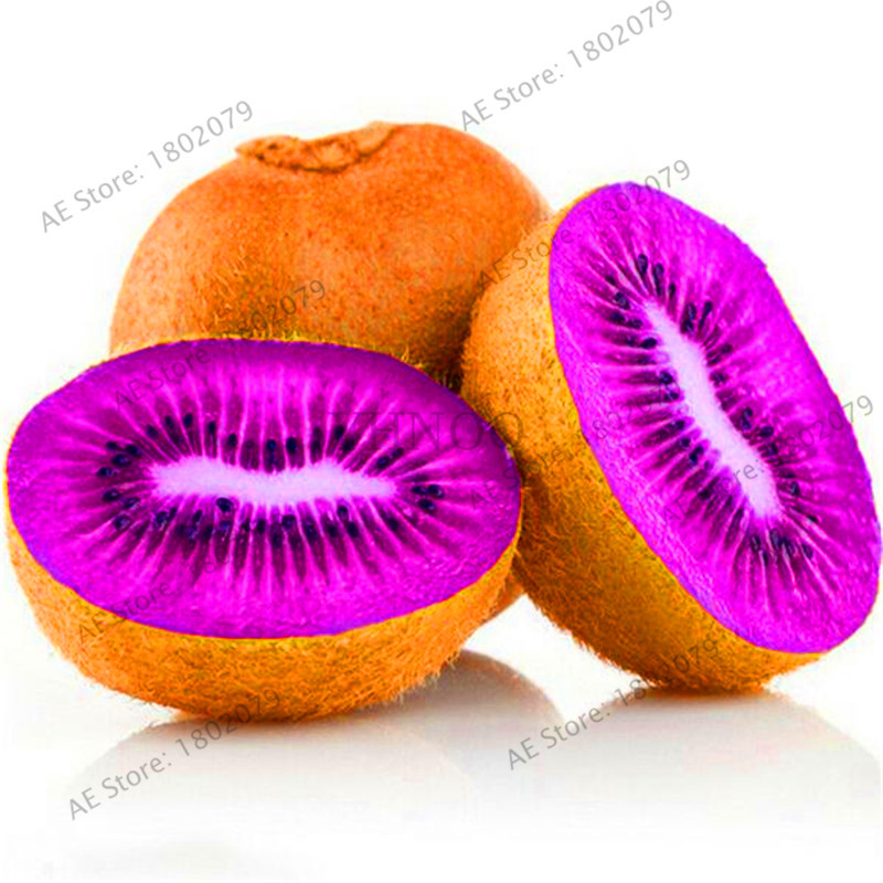 100pcs Mini Kiwi Seeds Thailand Floresling Flower Delicious Fruit Vegetable Seedlings For Landscaping - 1