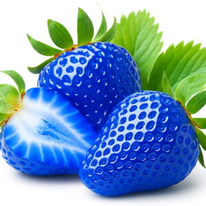 510pcs Pack Hybrid Blue Giant Strawberry Plants To Bonsai Plant Home Garden Seeds - 2