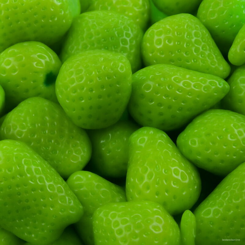 50 Pcs Lot Strawberry Fruit Green Garden Bonsai Plants Species Of Fruits And Vegetables J240w1 Seeds