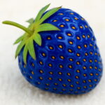 200 Pcs Blue Strawberry Bonsai Fruit And Vegetable Plant Garden Fast Nature No-gmo Z3 Seeds - 4