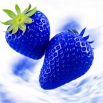 200 Pcs Blue Strawberry Bonsai Fruit And Vegetable Plant Garden Fast Nature No-gmo Z3 Seeds - 3