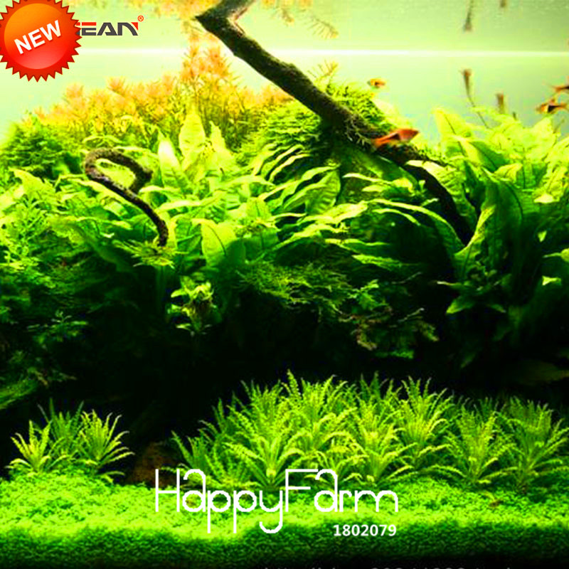 Large 500 Piece Assortment Of Aquatic Grass Seeds For Aquarium Beautification And Indoor Decor S8pxqe - 6