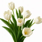 103pcs Tulip Flores Bonsai Flower Plantas Beautiful Tulips Potted Perennial Home Gardens Plant Seeds - 5