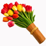 103pcs Tulip Flores Bonsai Flower Plantas Beautiful Tulips Potted Perennial Home Gardens Plant Seeds - 4