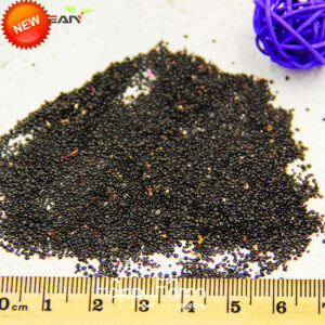 8 Color Available Cockscomb Garden Bonsai Flower Plantas Celosia Cristata Potted Plants 100 Pcs Lot Ca1rg4 Seeds - 2