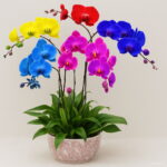 200 Pcs Lot Unique Rainbow Butterfly Orchid Garden Plants Bonsai Plant Phalaenopsis Plantas 9wmze8 Seeds