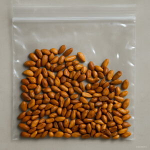 100 Pcs Purple And Green Rose Flower Plants High-grade Bonsai Seeds - 2