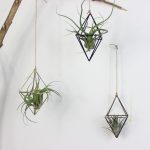 Hanging Basket Air Plants Rack Metal Geometric Tillandsia Iron Art Flower Planter Pot Gardening Home