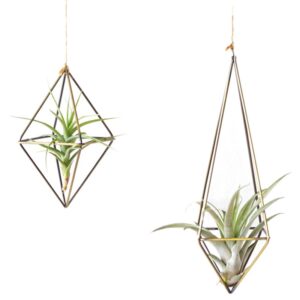 Home Garden Freestanding Hanging Tillandsia Air Plants Rack Metal Geometric Wrought Iron Rustic Plant Pots - 2