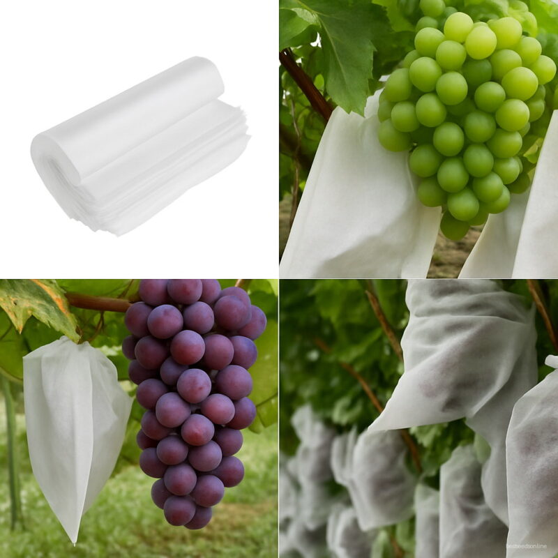 Non-woven Fabrics Grape Bag Fruit Pest Bird Control Protect