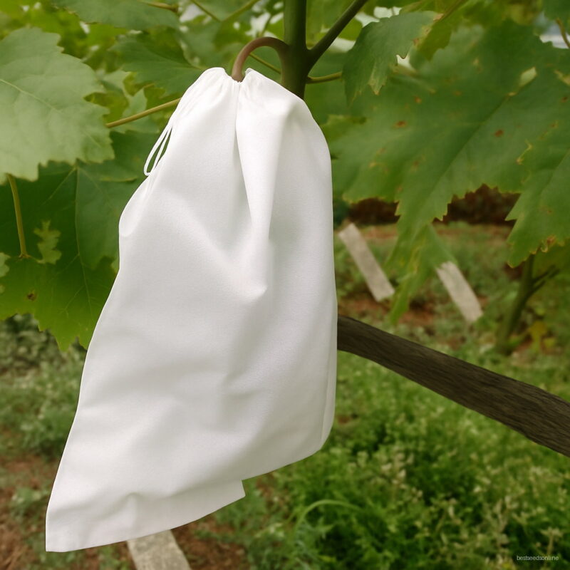 100pcs Bag Insect Anti-bird Agricultural Grapes Nonwovens Fabric Fruit Protection Growing Pouch 2838cm