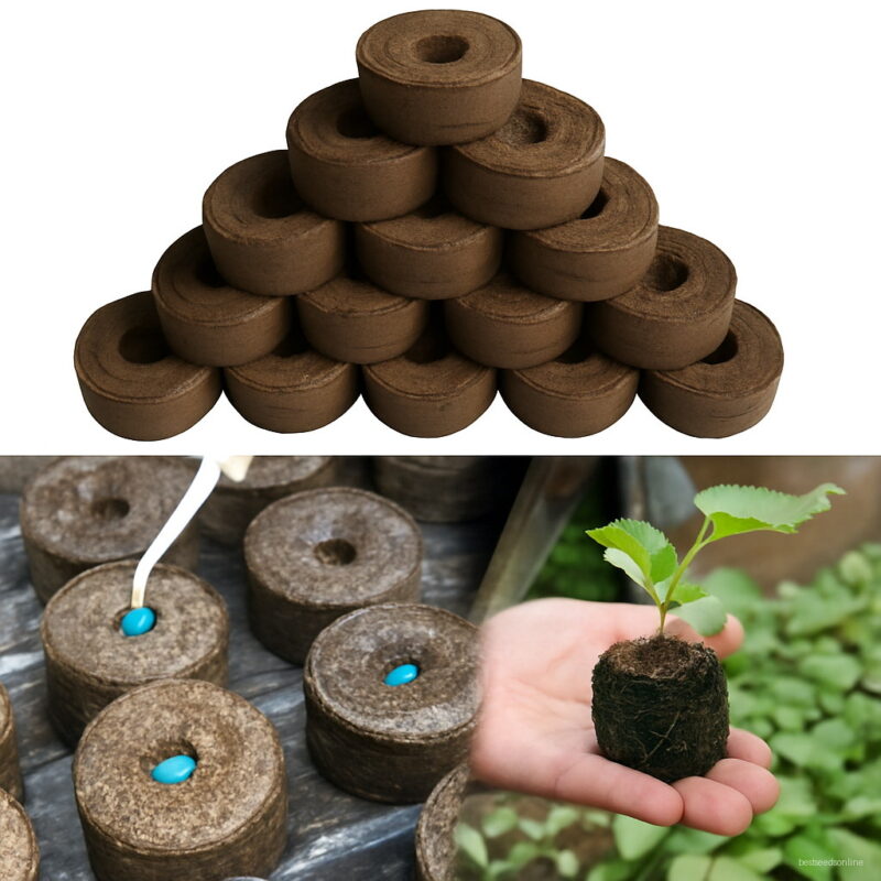 5 Pcs Seedling Soil Home Block Nutrient Compressed Peat Pallet Nursery Diy