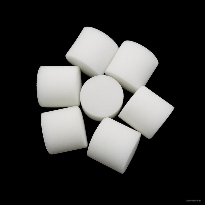 50pcs Sponge Soilless Hydroponic Vegetable Cultivation System Gardening Tools Planting Seedlings