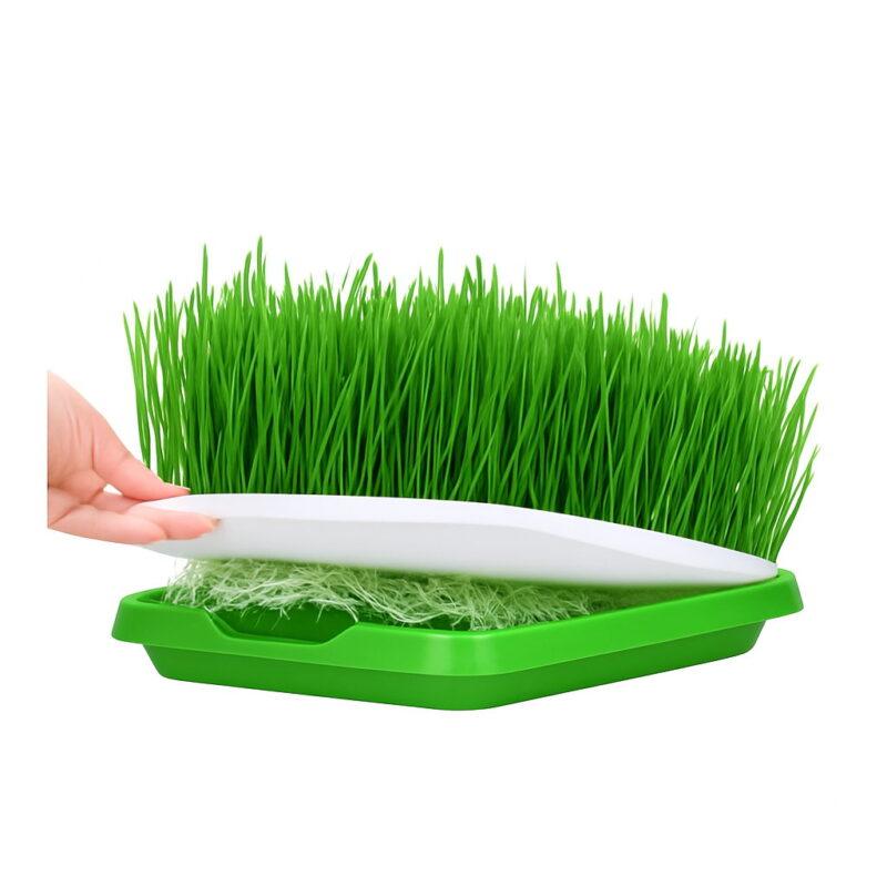 Durable Hydroponics Basket Nursery Tray Seed Pot Flower Plant Germination Grow Box Vegetable Seeding Case