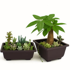 Flower Pot Imitation Balcony Square Pots Bonsai Bowl Nursery Basin Planter Rectangle - 2
