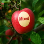 20pcs Apple Plants Bonsai Big Tree Organic Vegetable Fruit Indoor Planting Home Garden - 4