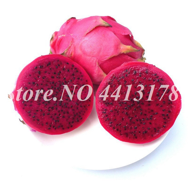 1000 Pcs Bag Of Red Pitaya Dragon Fruit Juicy Tropical Food For Indoor Green Space - 7