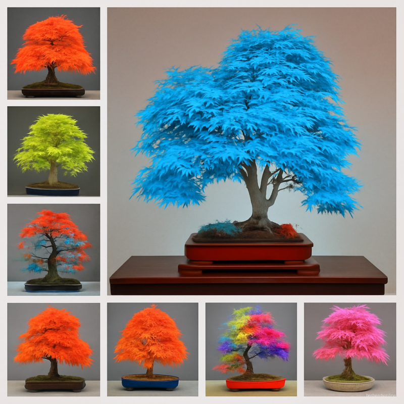 Fresh Potted Plant Garden 100% True Japanese Red Maple Bonsai Tree Flores 20 Pcs Pack Beautiful Indoor