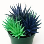 100 Pcs Bag Color Aloe Rare Bonsai Succulent Plants Mini Garden Planting Edible Beauty Fruit Vegeable - 6