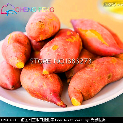 30piece Lot Annual Fruit Vegetable Purple Sweet Potato For Diy Agricultural Farming - 5