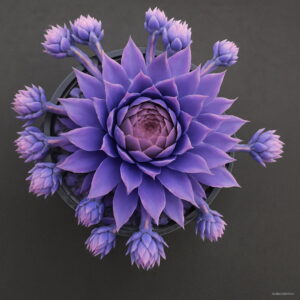 100 Pcs Amazing Sempervivum Plants Mixed Mini Garden Succulents Cactus Bonsai Perennial Live Forever Easy To Grow - 2