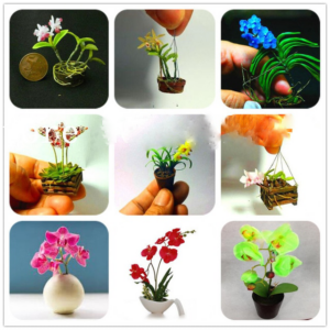 200 Pcs Mixed Colors Orchid Bonsai Phalaenopsis Indoor Miniature Garden Pot Plant