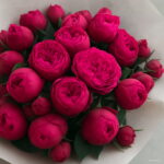 10 Pcs Mixed Peony Perennial Thailand Heirloom Bonsai Potted Hybrids Blooming Flowers Garden Plant - 6