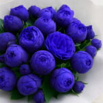 10 Pcs Mixed Peony Perennial Thailand Heirloom Bonsai Potted Hybrids Blooming Flowers Garden Plant - 5