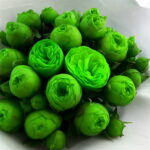 10 Pcs Mixed Peony Perennial Thailand Heirloom Bonsai Potted Hybrids Blooming Flowers Garden Plant - 4