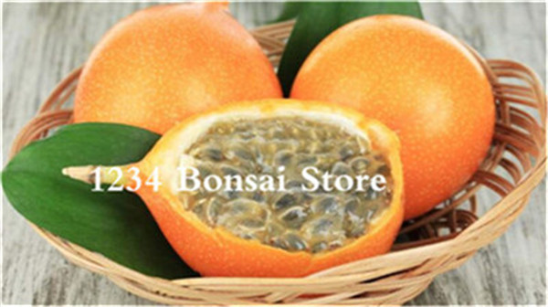 10piece Set Of Exotic Yelloworange Passion Fruit Seeds Deliciously Sweet And Easy To Grow - 2