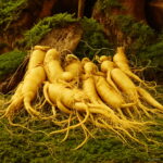 100 Pcslot Sale!chinese Ginseng Panax Flores Potted Bonsai Plant Flower Plantas Home Garden - 3