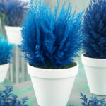 50 Pcs Blue Cypress Trees Plants Platycladus Orientalis Oriental Arborvitae Conifer Diy Home Garden Bonsai - 5