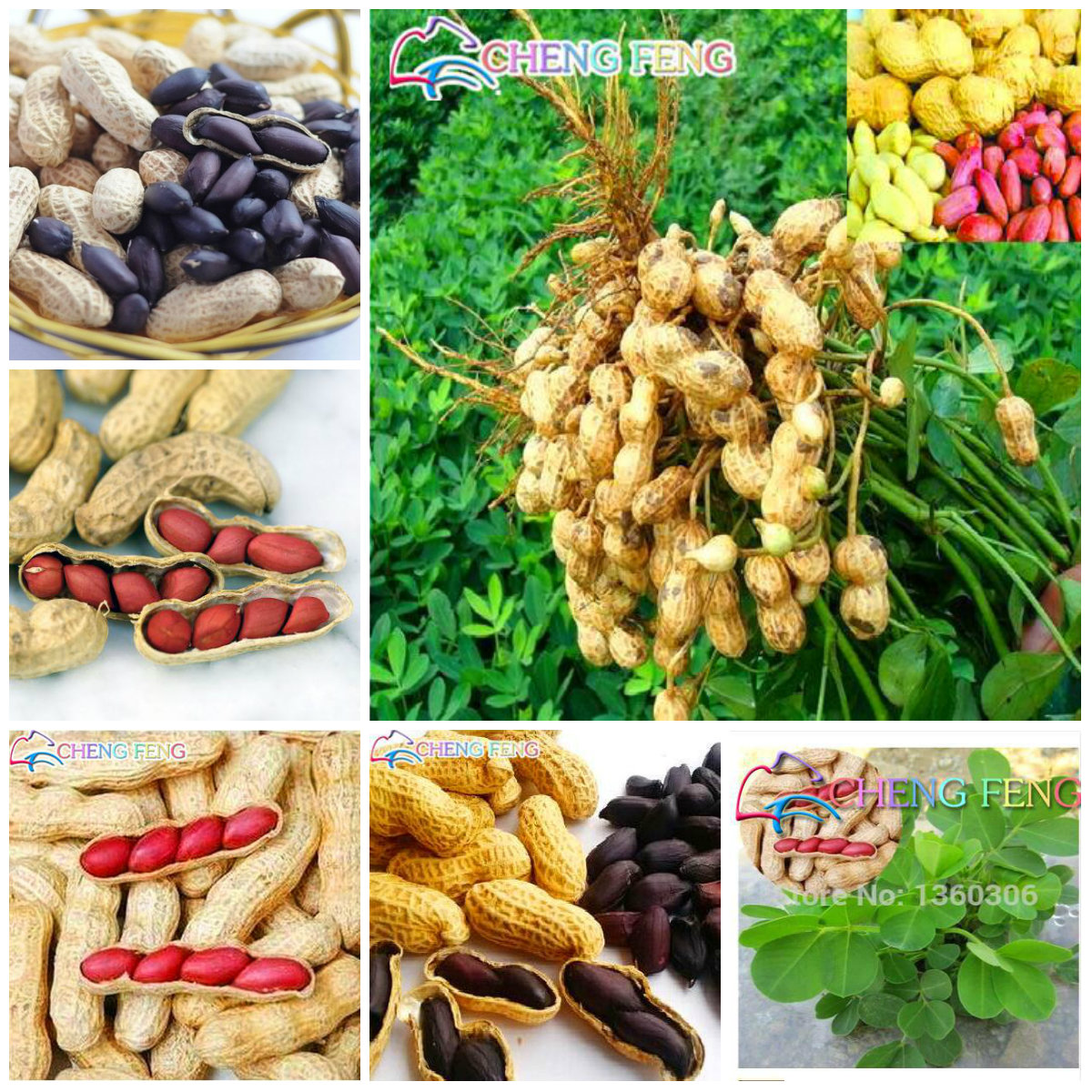 5piece Organic Vegetable And Fruit Seeds For Indoor Greenery And Landscaping - 1