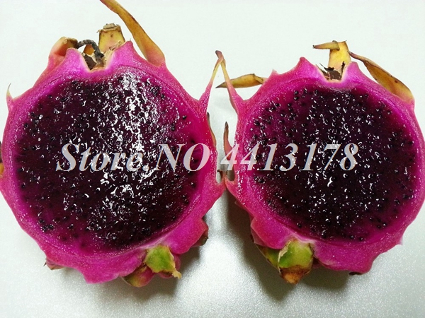 200 Pcsbag Red Pitaya Dragon Fruit Exotic Tropical Food Easy Cultivation Balcony Container Friendly - 3