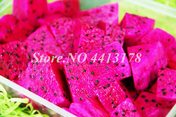 200 Pcsbag Red Pitaya Dragon Fruit Exotic Tropical Food Easy Cultivation Balcony Container Friendly - 1