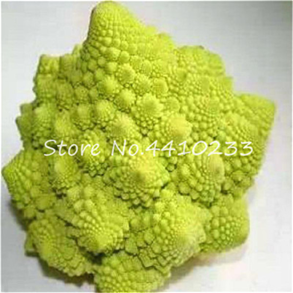 Organic Romanesco Broccoli 50 Rare Nongmo Vegetable Seeds Easytogrow Farming Hobby Unique Tower Shape - 1